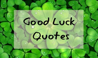 Best Good Luck Quotes Wishes And Messages