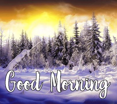 50 Cute Winter Good Morning Images with Quotes - BoomSumo