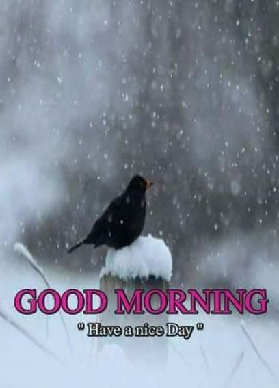 cold sunday morning quotes