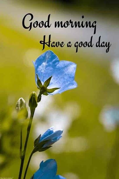 good chilly morning images and winter good morning picture