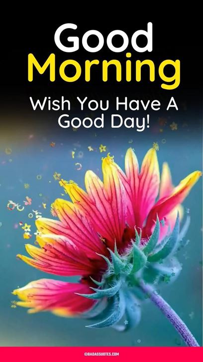 good cold morning and snowy good morning images