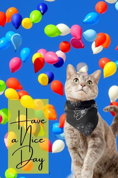 cute good morning sunday images and good morning images cute good morning sunday images and good morning images