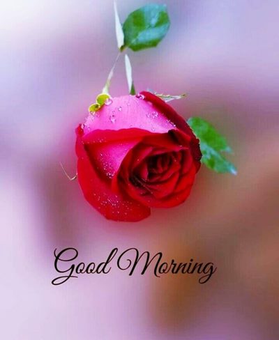 december morning images december morning images