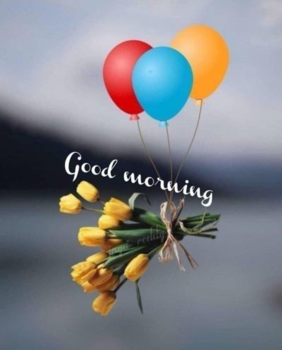 foggy good morning images and good morning beautiful image foggy good morning images and good morning beautiful image