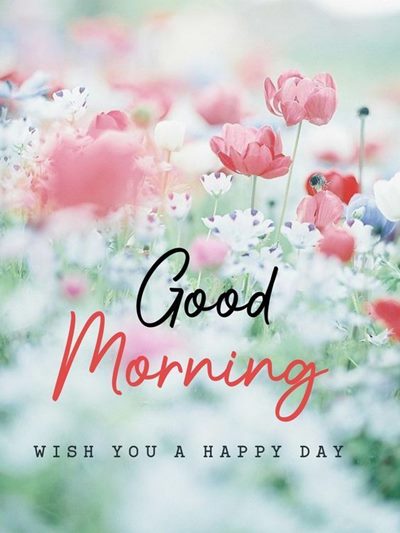 free good morning pictures download and free morning images free good morning pictures download and free morning images