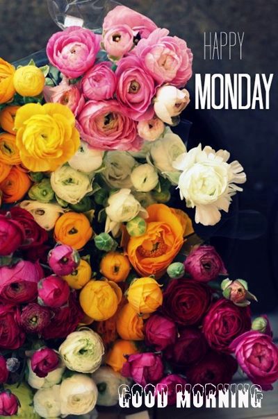 good monday morning blessings