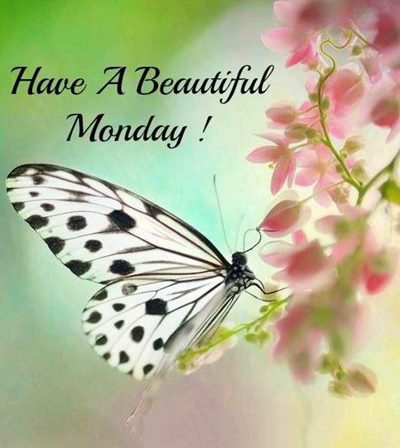 good monday morning friends