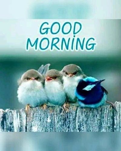 good morning 31 dec last day of the year and good morning saturday fall images good morning 31 dec last day of the year and good morning saturday fall images