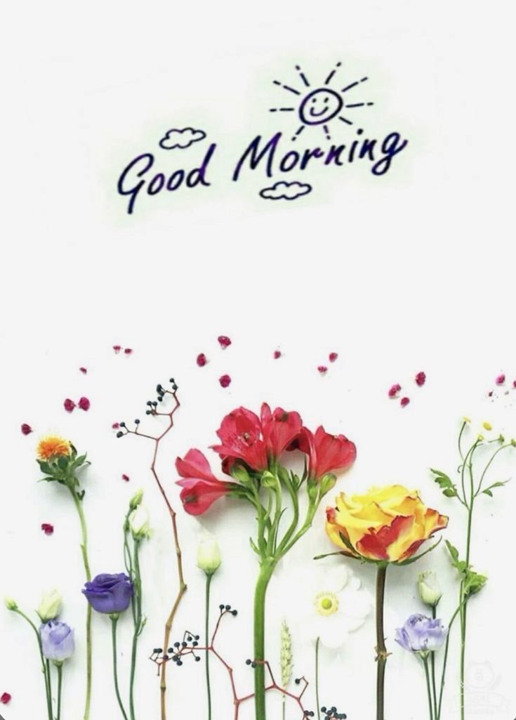 42 Best Good Morning Pics And Cute Images 13 42 Best Good Morning Pics And Cute Images 13