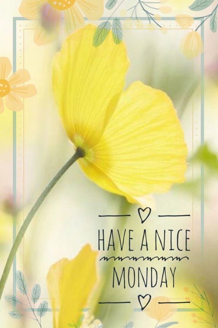 42 Best Good Morning Pics And Cute Images 14 42 Best Good Morning Pics And Cute Images 14