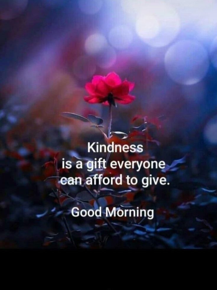 42 Best Good Morning Pics And Cute Images 15 42 Best Good Morning Pics And Cute Images 15