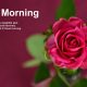 Christian Good Morning Messages — Inspirational God Quotes