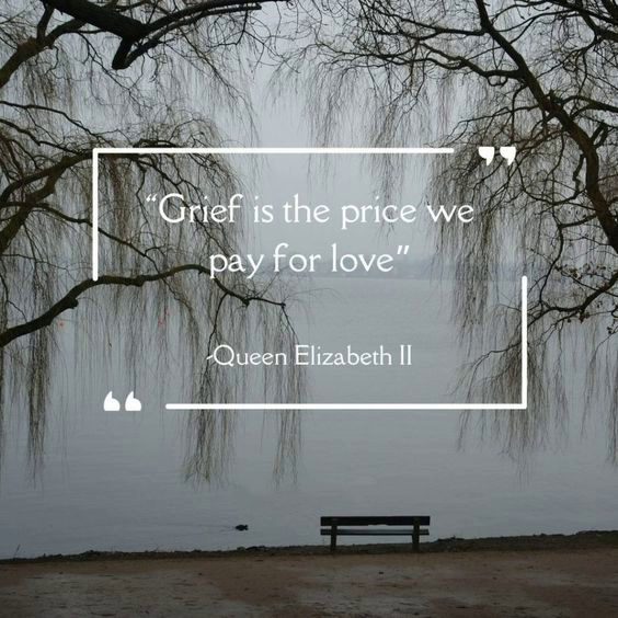 butterfly grief quotes butterfly grief quotes