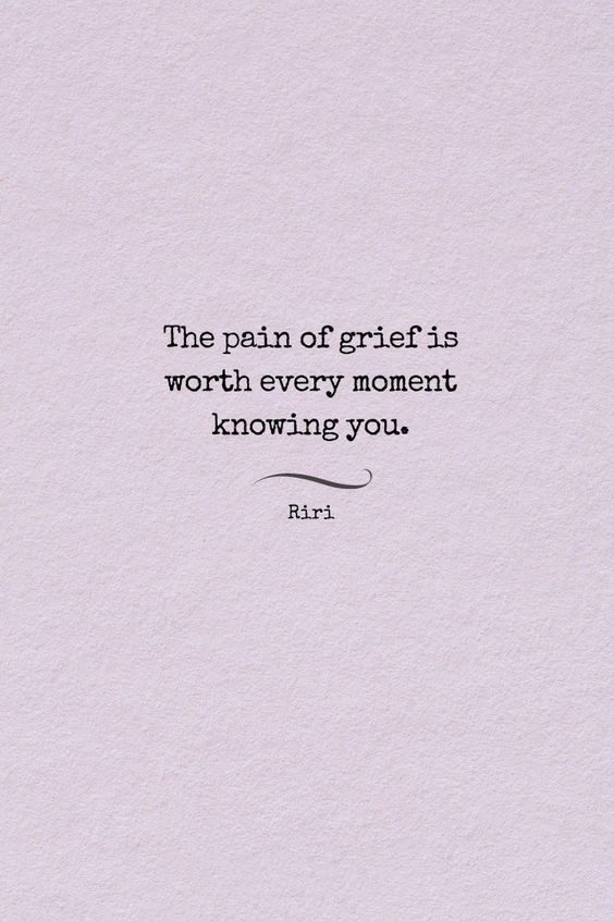 cat grief quotes cat grief quotes