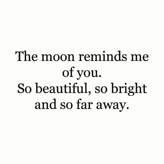 daily grief quotes daily grief quotes