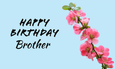 Happy Birthday Brother Birthday Wishes For Brother Awesome Fun