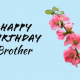 Happy Birthday Brother Birthday Wishes For Brother Awesome Fun