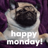 Happy Monday GIFs Images – Animated Monday Wishes GIF 11
