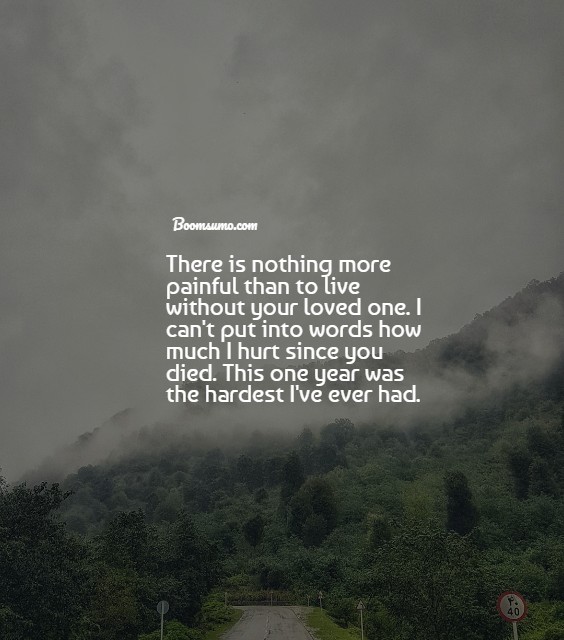 heartfelt quotes to offer comfort on a one year death anniversary