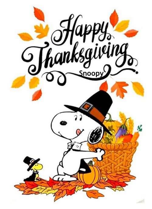 snoopy thanksgiving pictures