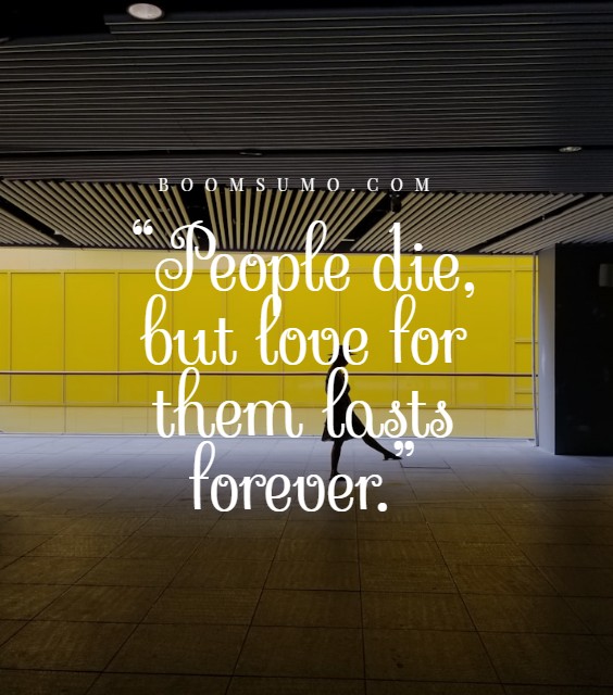 the ripple effect how one year of absence can change a world