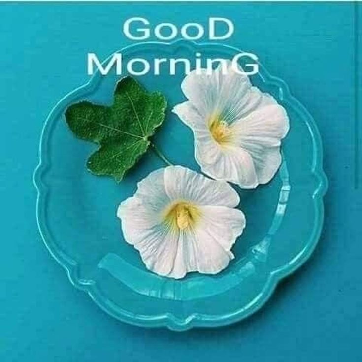 56 Inspirational Good Morning Quotes Life Inspire You to Success 4