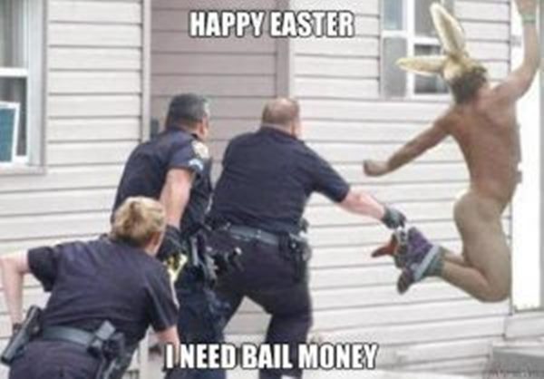 easter funny meme and easter peeps meme easter funny meme and easter peeps meme