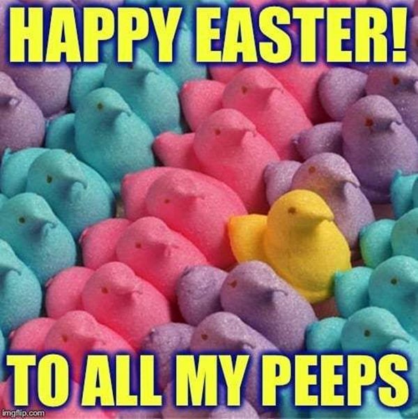 easter memes funny and easter funny easter memes funny and easter funny