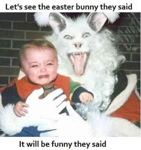 hoppy easter meme and free easter memes hoppy easter meme and free easter memes