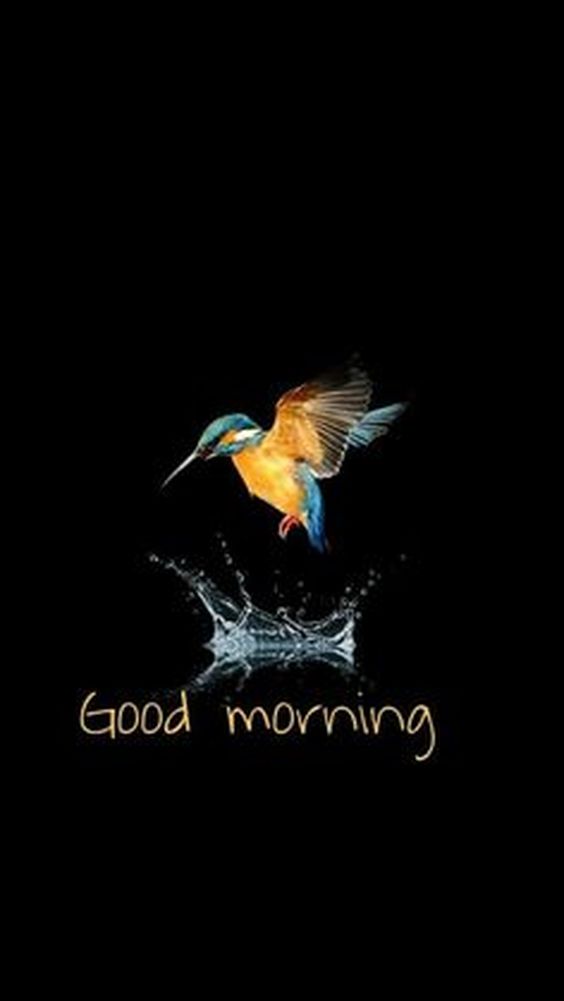 african american good morning tuesday quotes and images african american good morning tuesday quotes and images