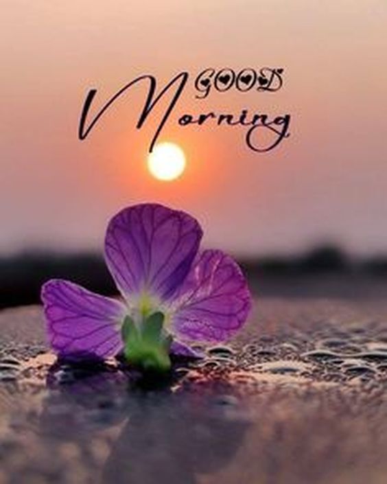 blessed good morning quotes and images blessed good morning quotes and images