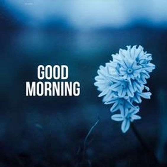 good morning bible quotes and images good morning bible quotes and images