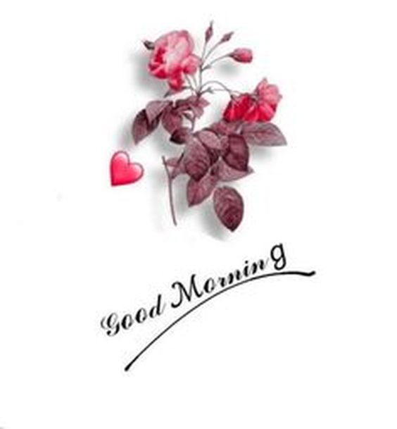 good morning quotes and images good morning quotes and images