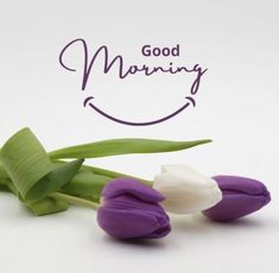 good morning quotes baby images good morning quotes baby images