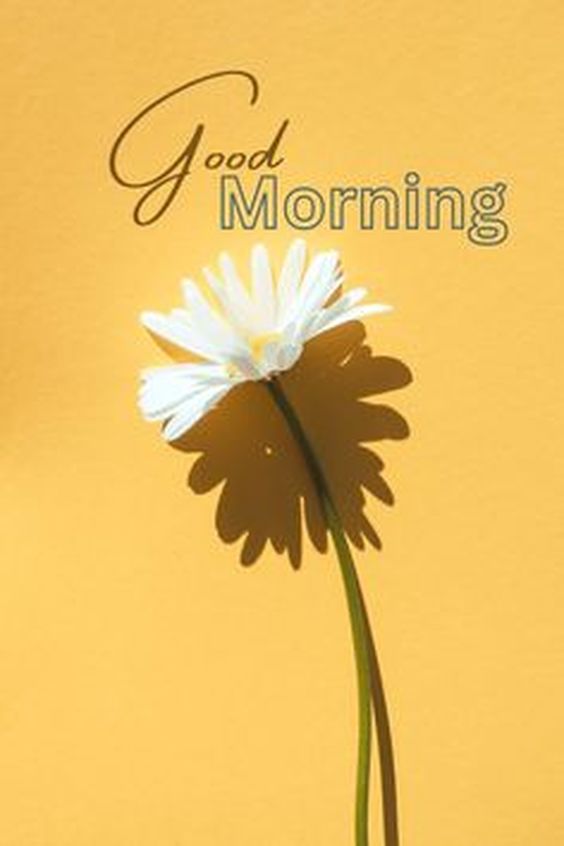 good morning wishes and blessings images good morning wishes and blessings images