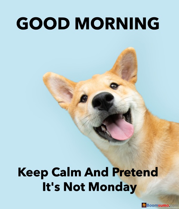 Hilarious Happy Monday Memes