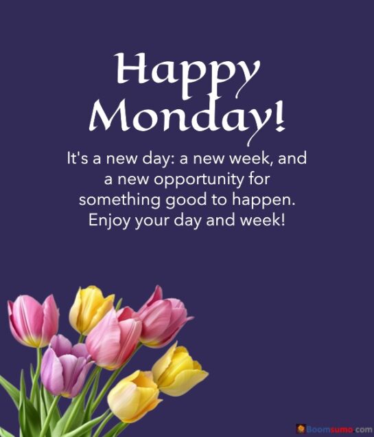 100+ Happy Monday GIFs & Images: Animated Wishes - BoomSumo