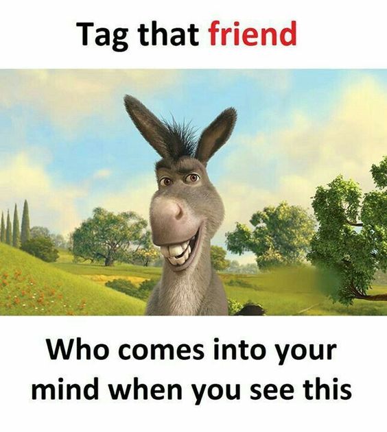 a donkey with the caption tag that friend who comes into your mind when you see this