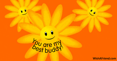 best friendship gifs best friendship gifs