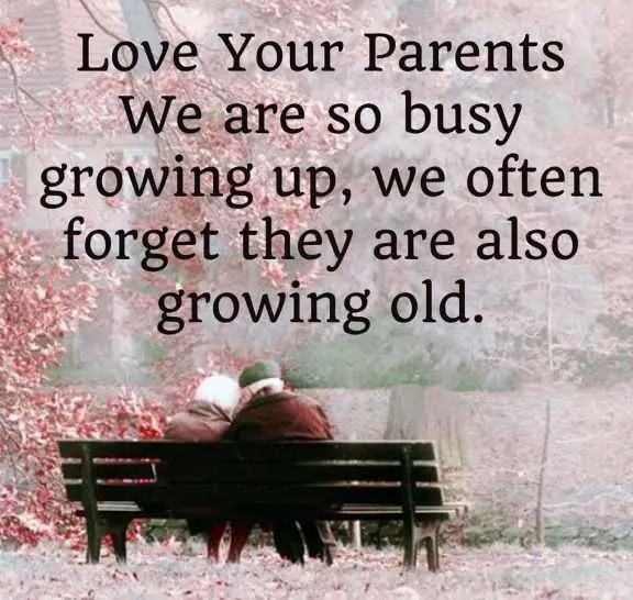 Parents Day Quotes about Love Your Parents Growing Old Good fathers Quotes About life