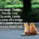 A funny quote about best friends in bold white sans-serif text next to two ginger cats sitting side-by-side on a road looking ahead into a green park. A humorous and classic friendship quote about loyalty, togetherness, and practical rescue plans
