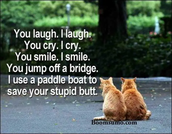 A funny quote about best friends in bold white sans-serif text next to two ginger cats sitting side-by-side on a road looking ahead into a green park. A humorous and classic friendship quote about loyalty, togetherness, and practical rescue plans