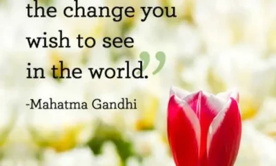 An inspirational quote by Mahatma Gandhi reading 'You must be the change you wish to see in the world.' in dark serif text alongside a pink tulip against a soft floral background. A iconic quote by Mahatma Gandhi encouraging personal responsibility, positive action, and self transformation to create a better world