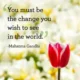 An inspirational quote by Mahatma Gandhi reading 'You must be the change you wish to see in the world.' in dark serif text alongside a pink tulip against a soft floral background. A iconic quote by Mahatma Gandhi encouraging personal responsibility, positive action, and self transformation to create a better world