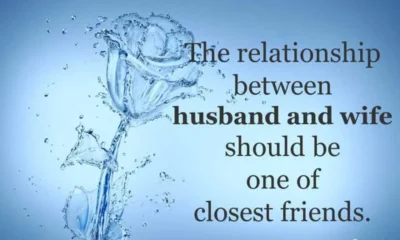 An inspirational quote about marriage and friendship in dark serif text alongside a delicate rose formed from splashing water against a soft blue background. An inspiring quote emphasizing the importance of deep friendship and companionship in marriage