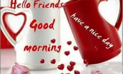 A bright good morning greeting card featuring a white mug with red script and a tilted red mug with heart-shaped handles alongside pink roses and small red heart decorations. Good Morning Quotes A cheerful and friendly morning greeting designed to wish friends a beautiful day