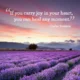 An inspirational quote by Carlos Santana reading 'If you carry joy in your heart, you can heal any moment.' in white serif text over a sunset lavender field landscape. uplifting quote by Carlos Santana highlighting the power of inner joy to bring healing and peace to any situation