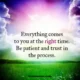 An inspirational quote card displaying dark serif text with the word right highlighted in magenta, set over a serene vibrant landscape of a green grassy field under a colorful purple and blue sky with clouds, featuring the BoomSumo.com watermark at the bottom. Everything Comes At The Right Time Inspirational Quote Card and Image